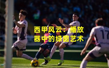 西甲风云：播放器中的绿茵艺术