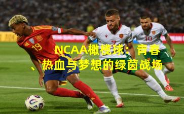 NCAA橄榄球：青春、热血与梦想的绿茵战场