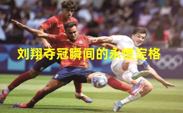 刘翔夺冠瞬间的永恒定格