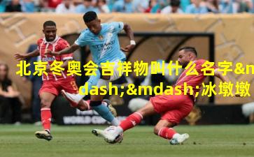 北京冬奥会吉祥物叫什么名字——冰墩墩与雪容融的体育魅力