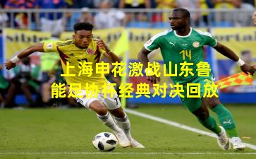 上海申花激战山东鲁能足协杯经典对决回放 上海申花激战山东鲁能足协杯经典对决回放